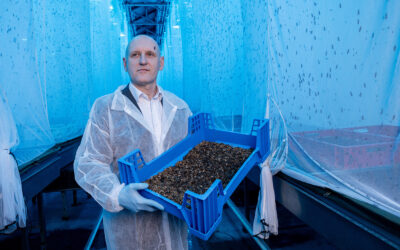 Rafał Prędke prezes HiProMine S.A.